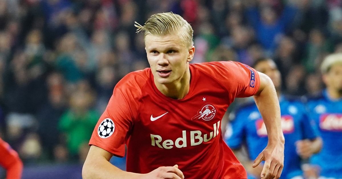 板公示回合 板公示回合